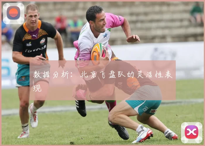 数据分析：北京飞盘队的灵活性表现